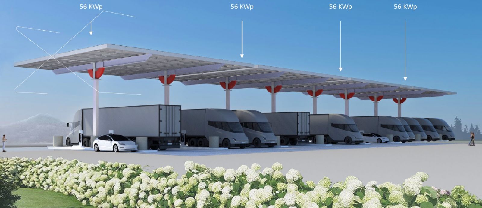 Scarlet Solar Article Image 1