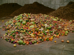 Anaerobic digestion technology