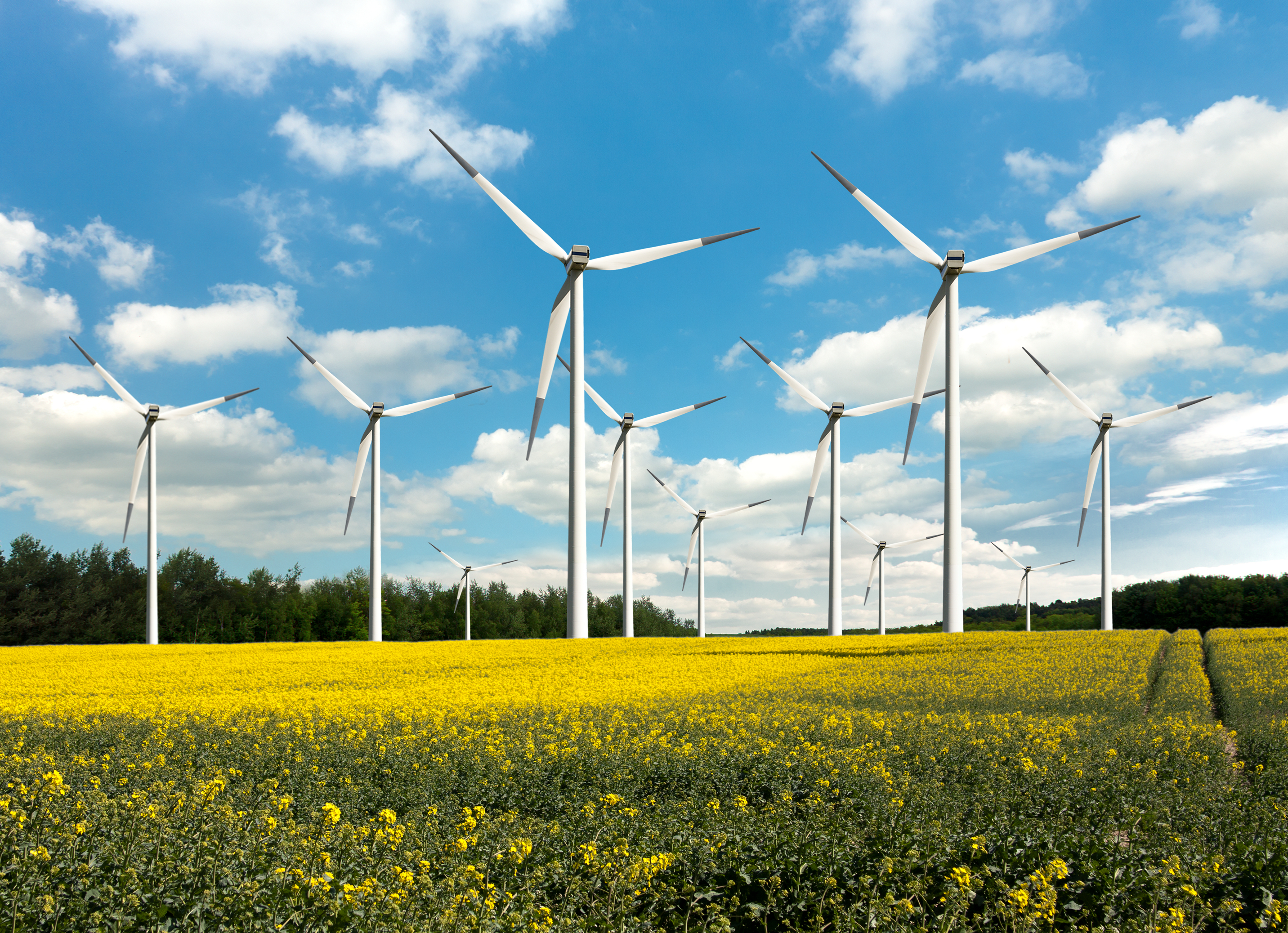 ACP Statement on Offshore Wind Energy Stop Work Order