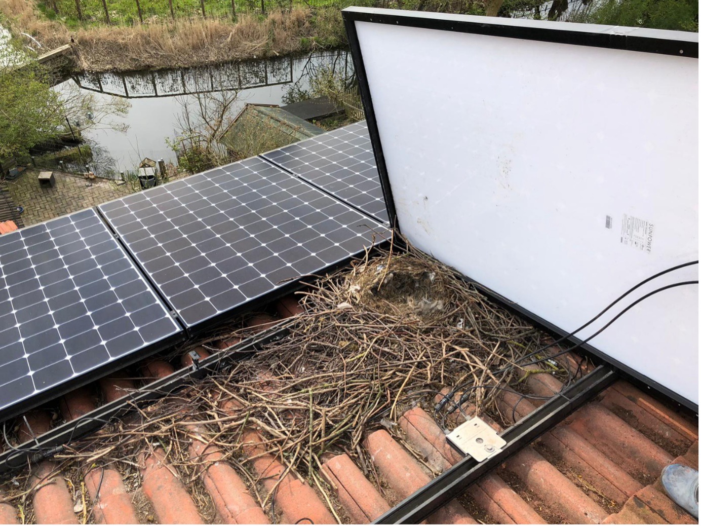 leaves under solar panel