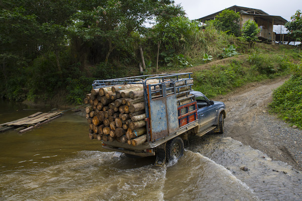 logs on a truck