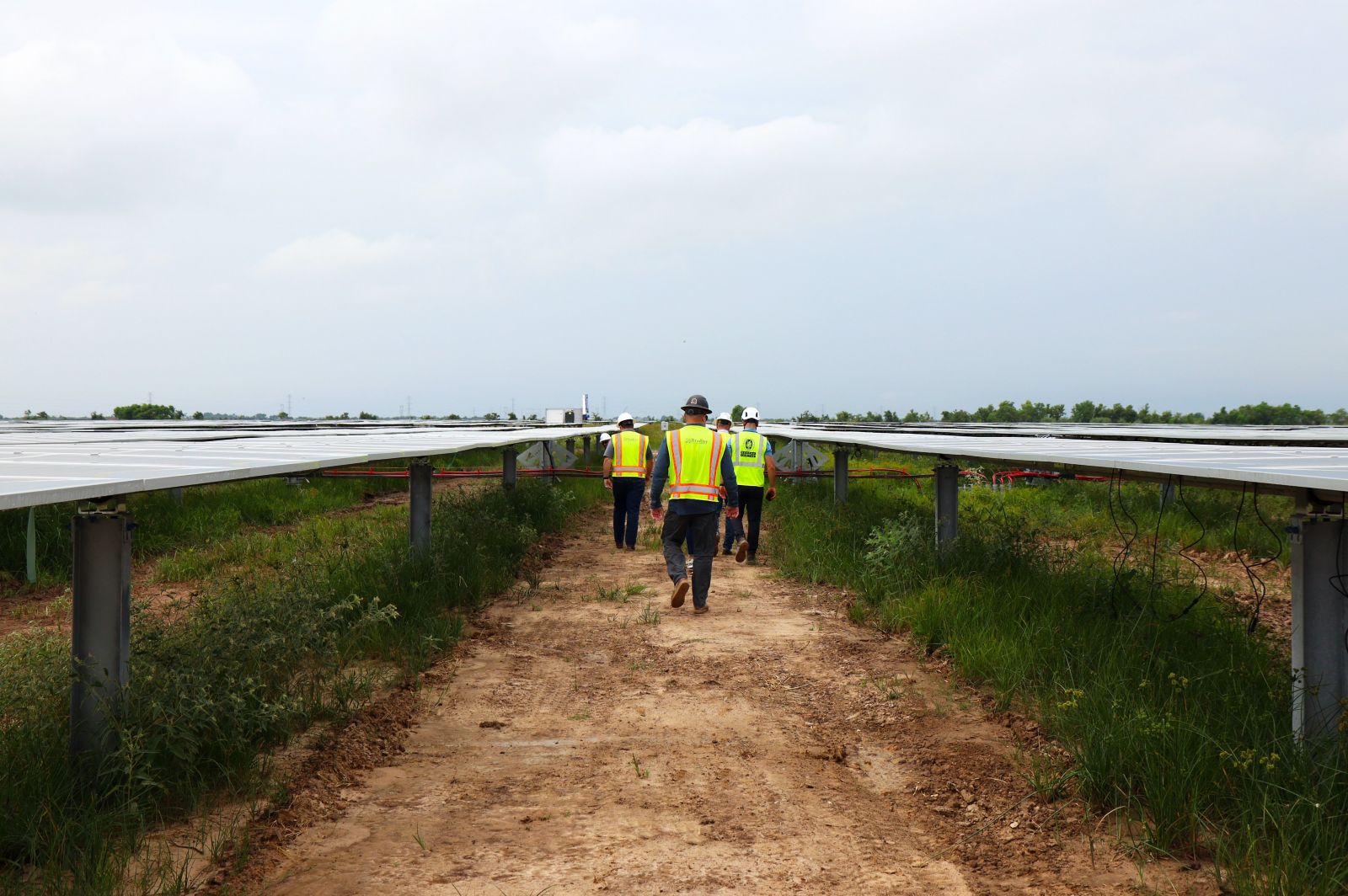 yellow vest workers walking center solar rows
