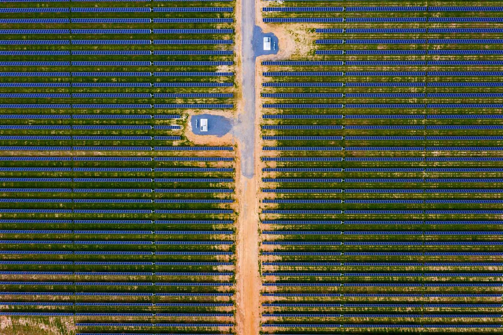 horizontal blue solar rows on green grass