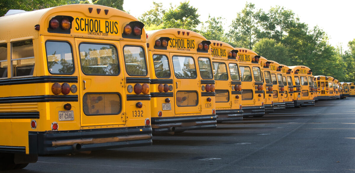 yellow buses