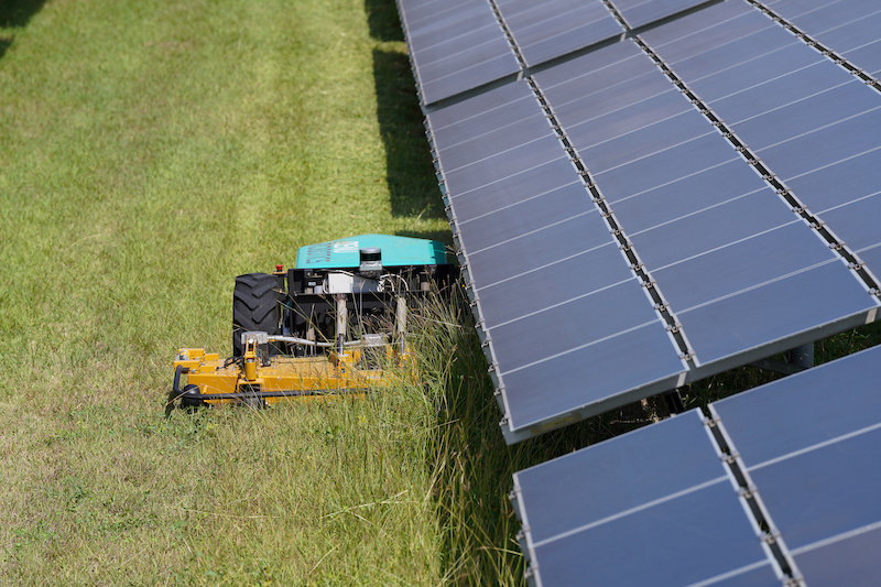 mowing grass between solar panels