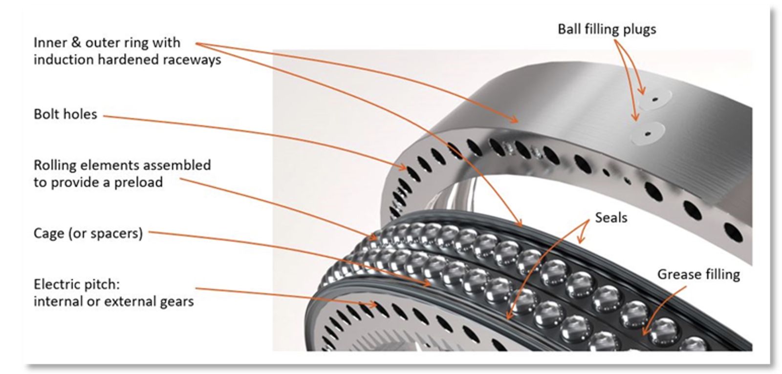 Blade bearing anatomy