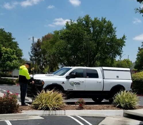 white truck