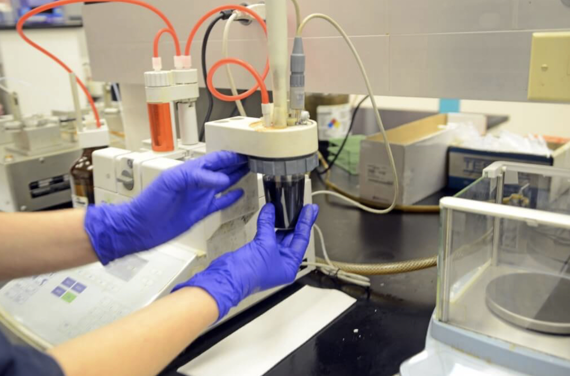lab