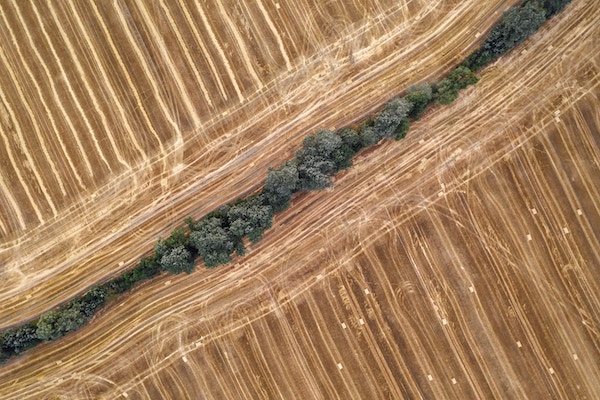 striped dirt