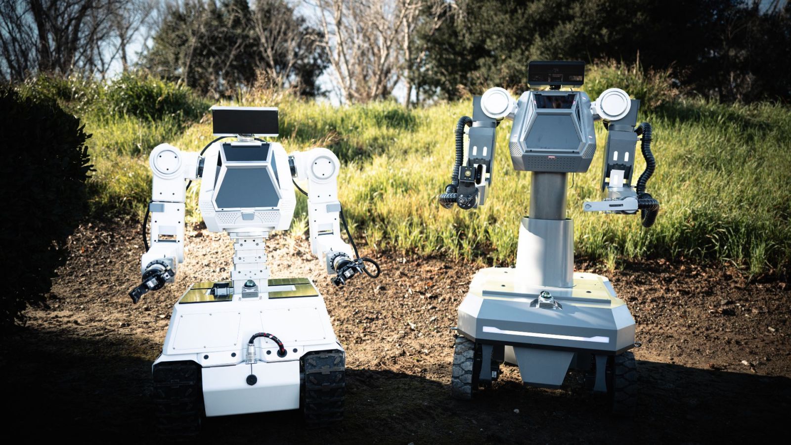 robots