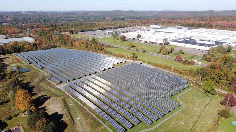 autumn trees solar