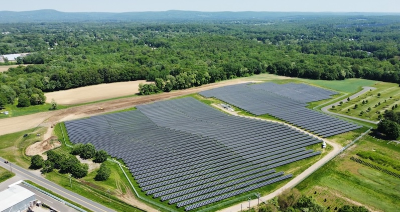 green trees solar field