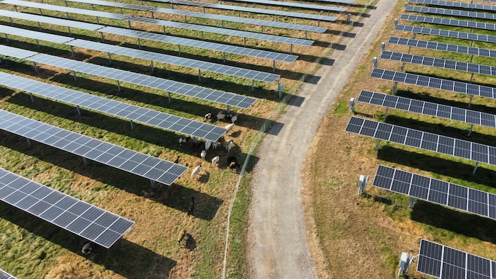 solar rows