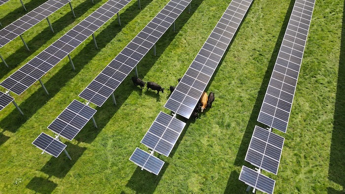 diagonal solar 