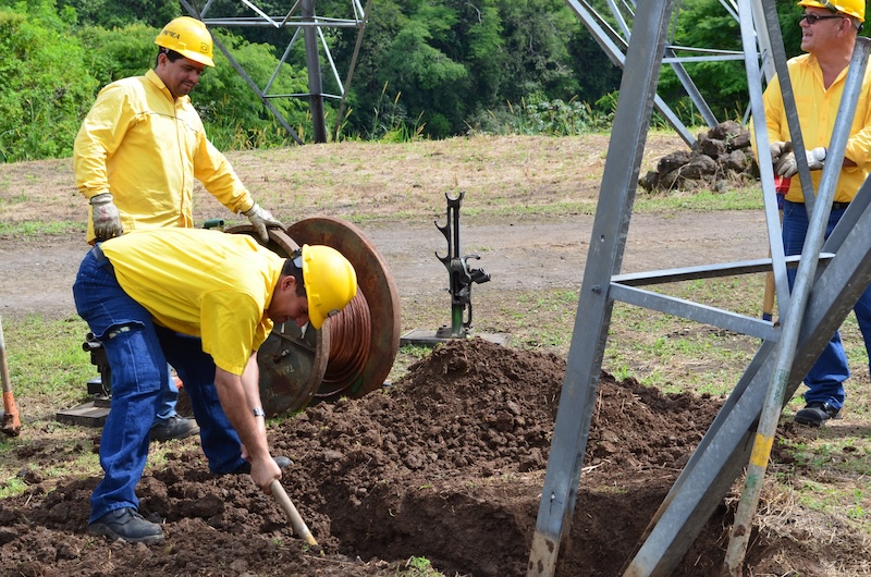 yellow jacket workers
