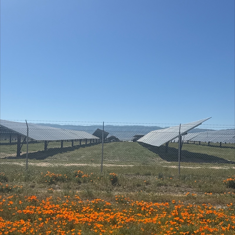 plants then fence then solar panels