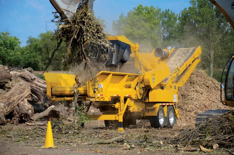 backhoe dragging tree roots