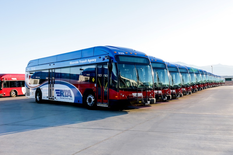 buses