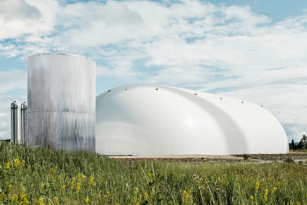 white dome