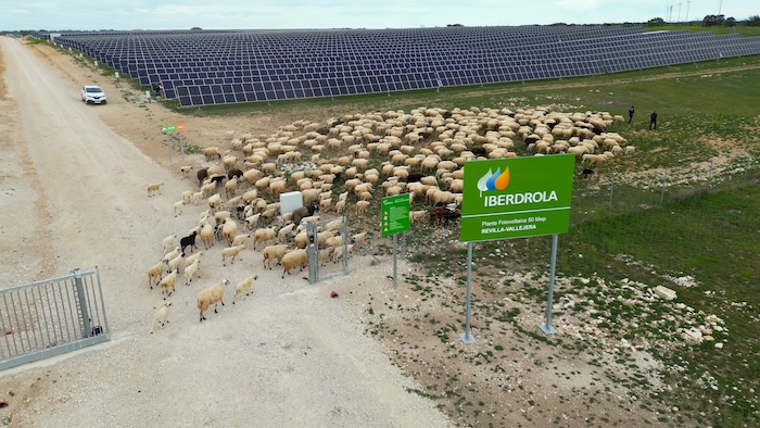 baaaaaa