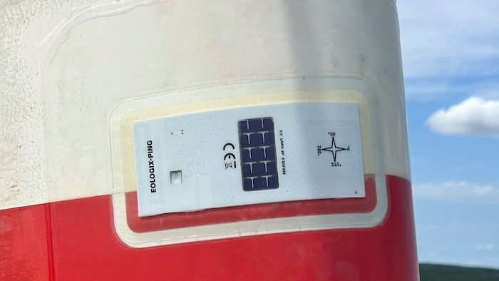 red and white