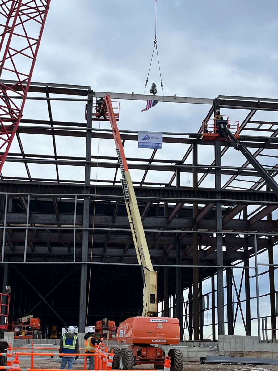 crane
