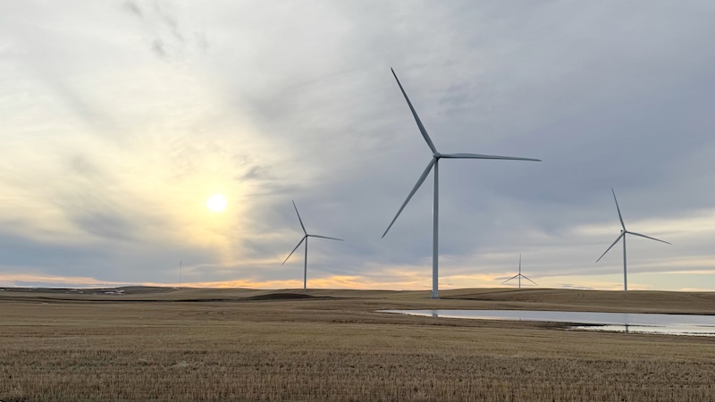 forty mile wind