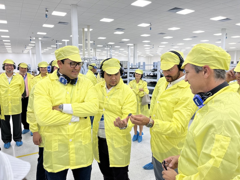 yellow coats