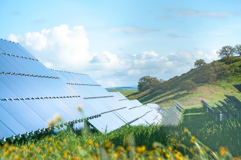 flower solar