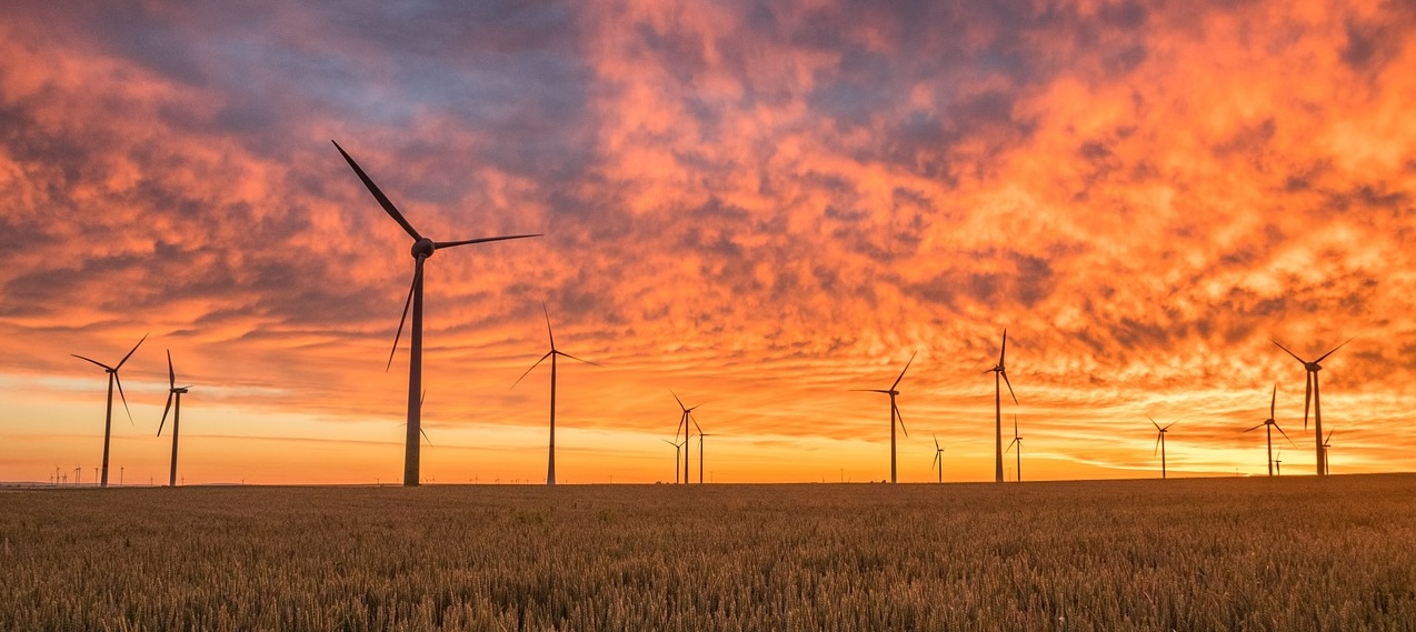 wide sunset wind