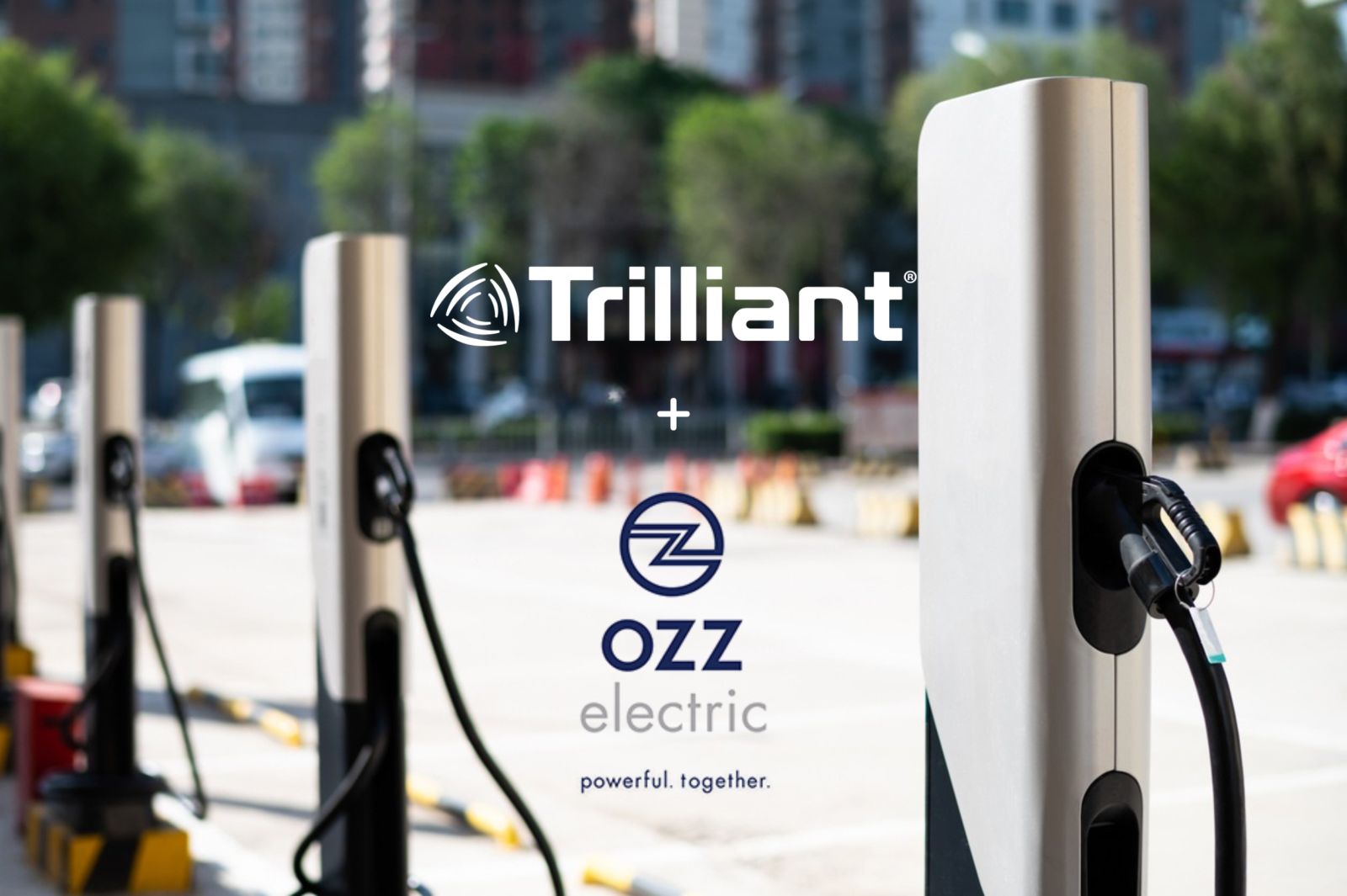 trilliant
