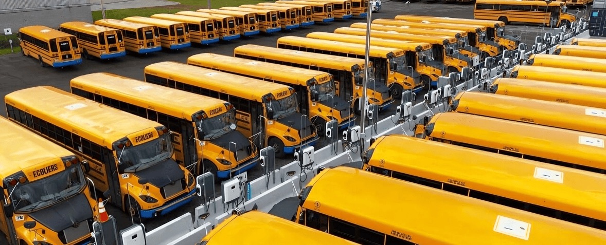 yellow school buses