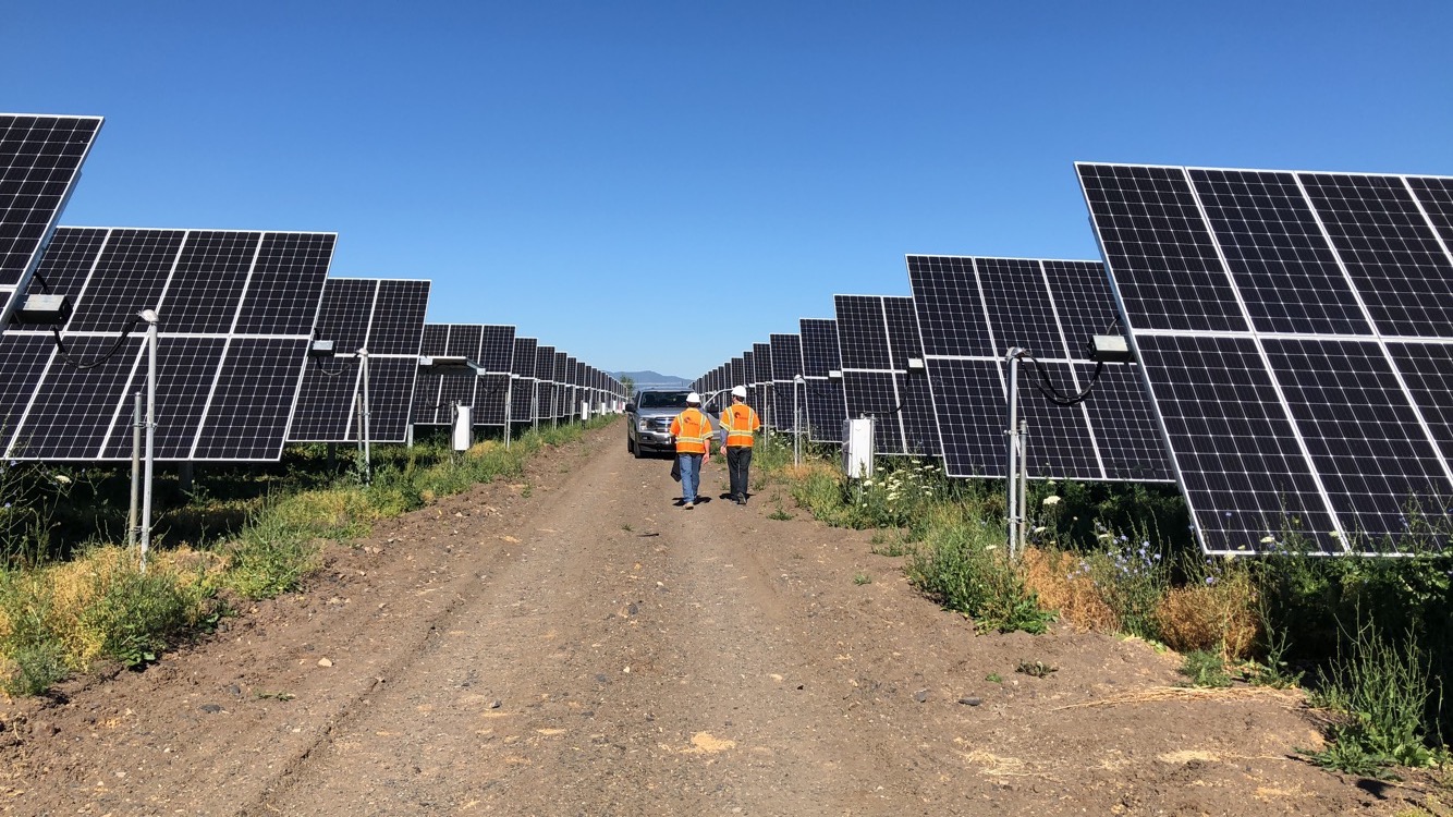wide shot men walking between solar panels 