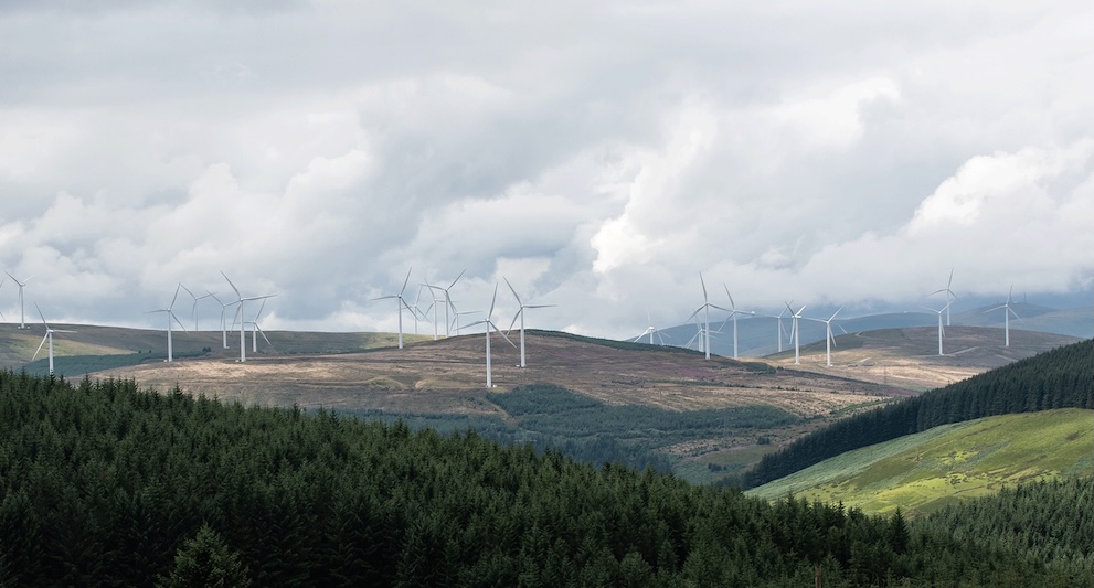 wind farm