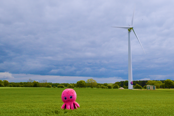 Texans Octopus Energy and Lunar American Clean Power The Texas Battery Boom: A Rapid Ascent