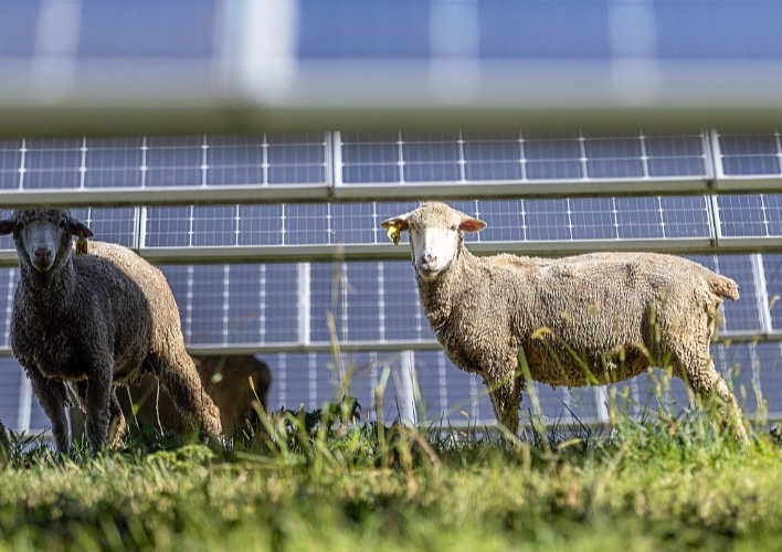 North American Clean Energy - Solar Simplified and Standard Solar ...