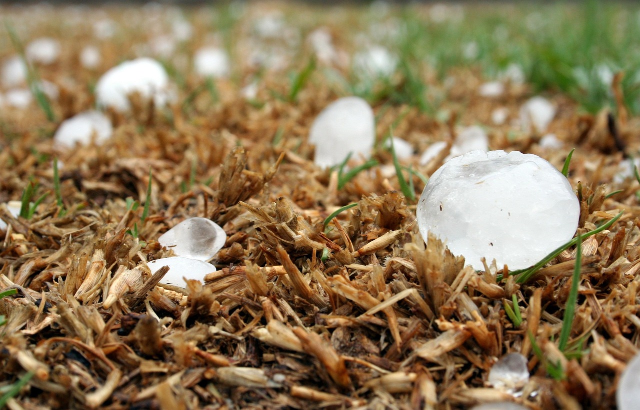 VDE Americas and kWh Analytics Join Forces to Optimize Insurance Premiums for Solar Assets Designed for Hail Resiliency