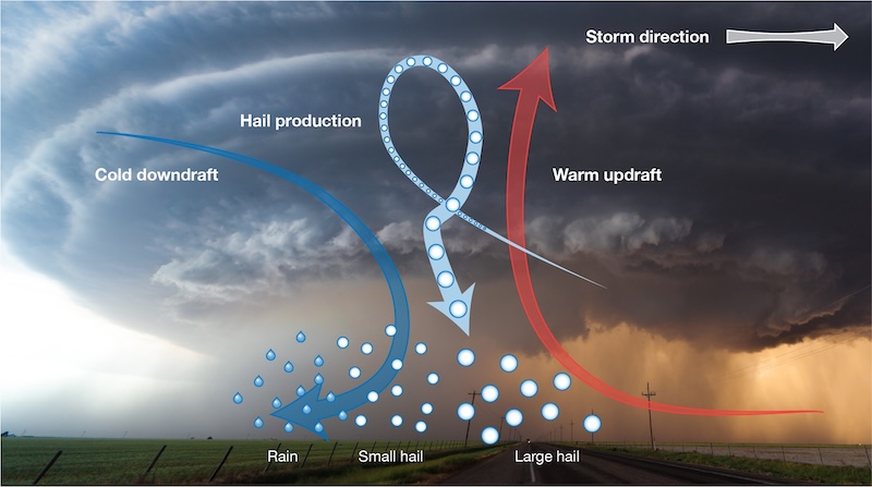 Hail Formation in Severe Convective Storms