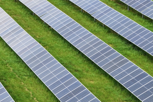 Amite Solar Energy Center Marks Milestone for NextEra Energy Resources in Louisiana