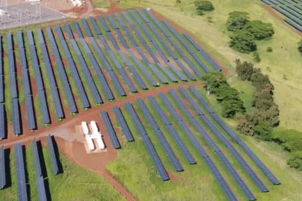 Solar Power, Sheep, Battery Strategies: Students Explore Renewable Energy