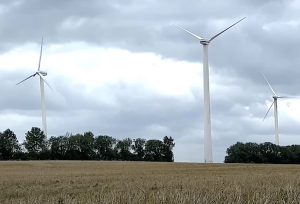 When the Cows Escaped: A day in the life of a wind energy parts sales engineer