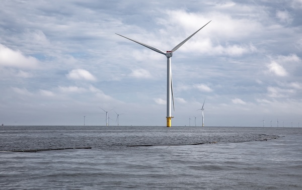 Pioneering Seaweed Harvest Takes Place in North Sea