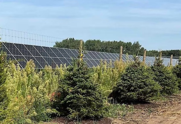 Proving the Future of Interconnection: Nexamp’s Self-Performance Approach Delivers Results in Three Pilot Projects