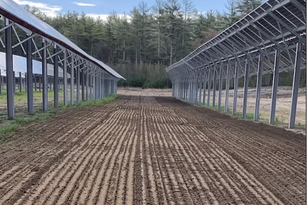Lightstar Renewables Launches Innovative Agrivoltaics Project in Montgomery, New York