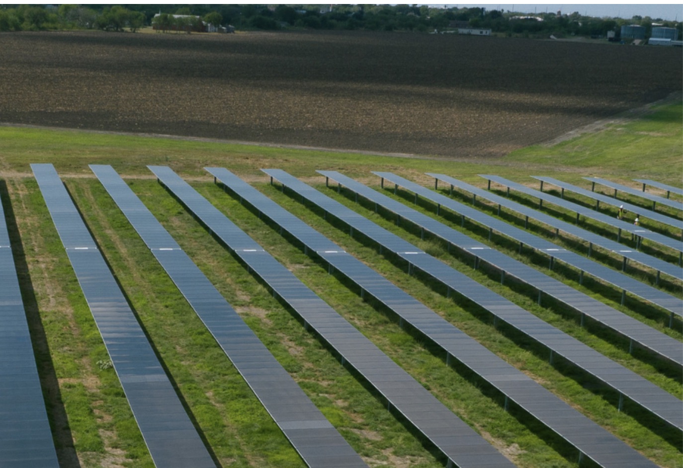 Lightsource bp and Pinnacle Financial Partners announce $97.9M tax equity deal for Peacock Solar in San Patricio County, TX