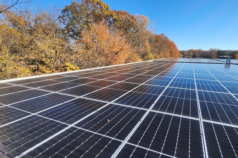 2026 is the Year Clean Energy Proves its Strength and Resilience