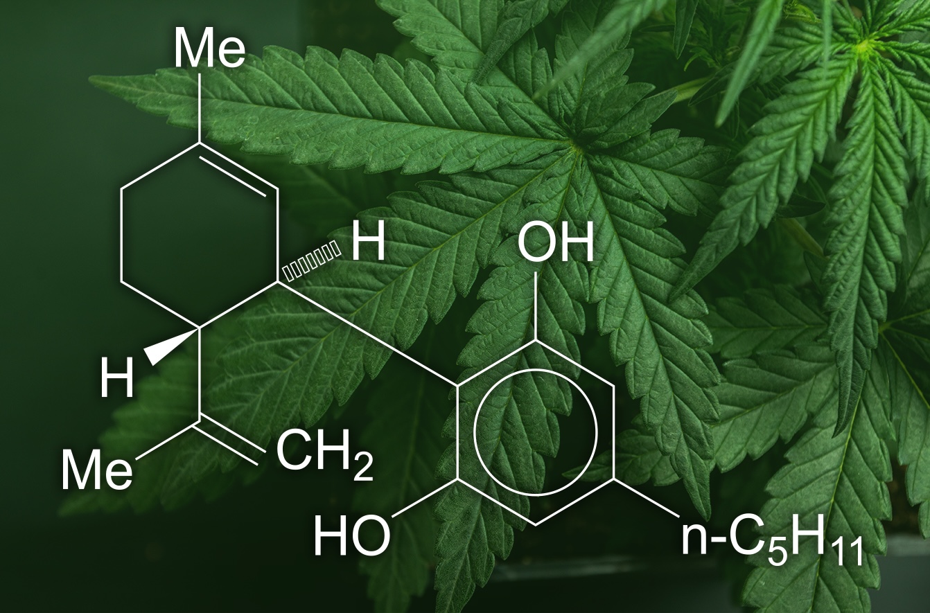 Nature's Miracle Holding Inc. Signs MOU for $150 Million EPC Contract to Build Large-Scale Indoor Cannabis Facility in California