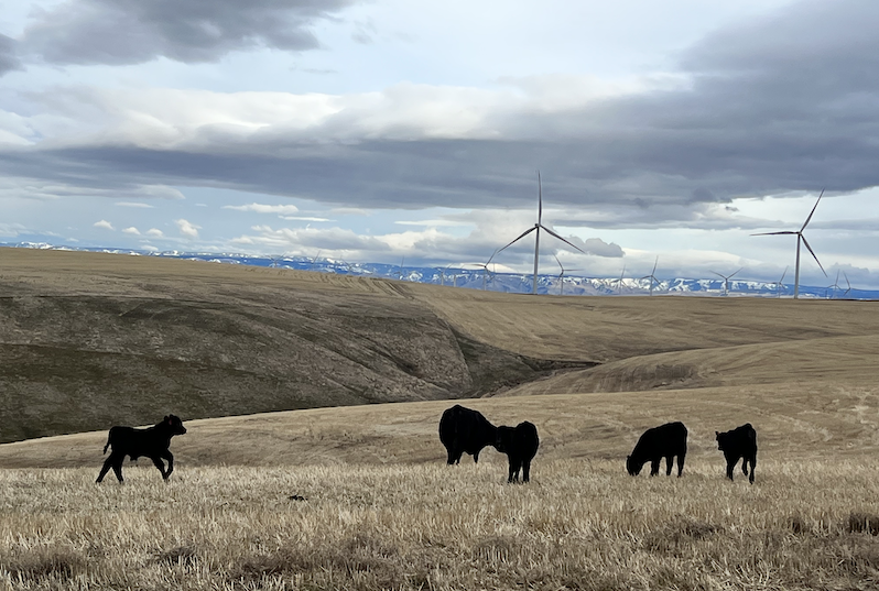 The Emerging Economics of Wind Turbine Component Reuse