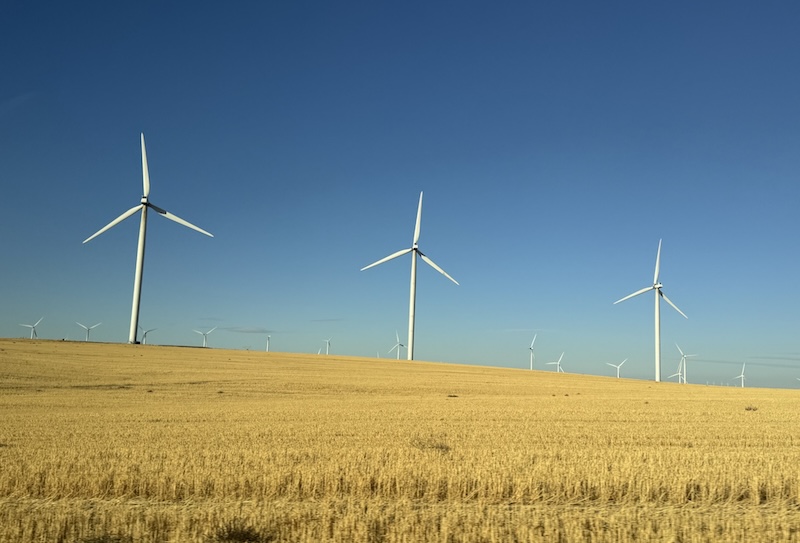 DWT Named O&M Partner for 700 MW Wind Farms