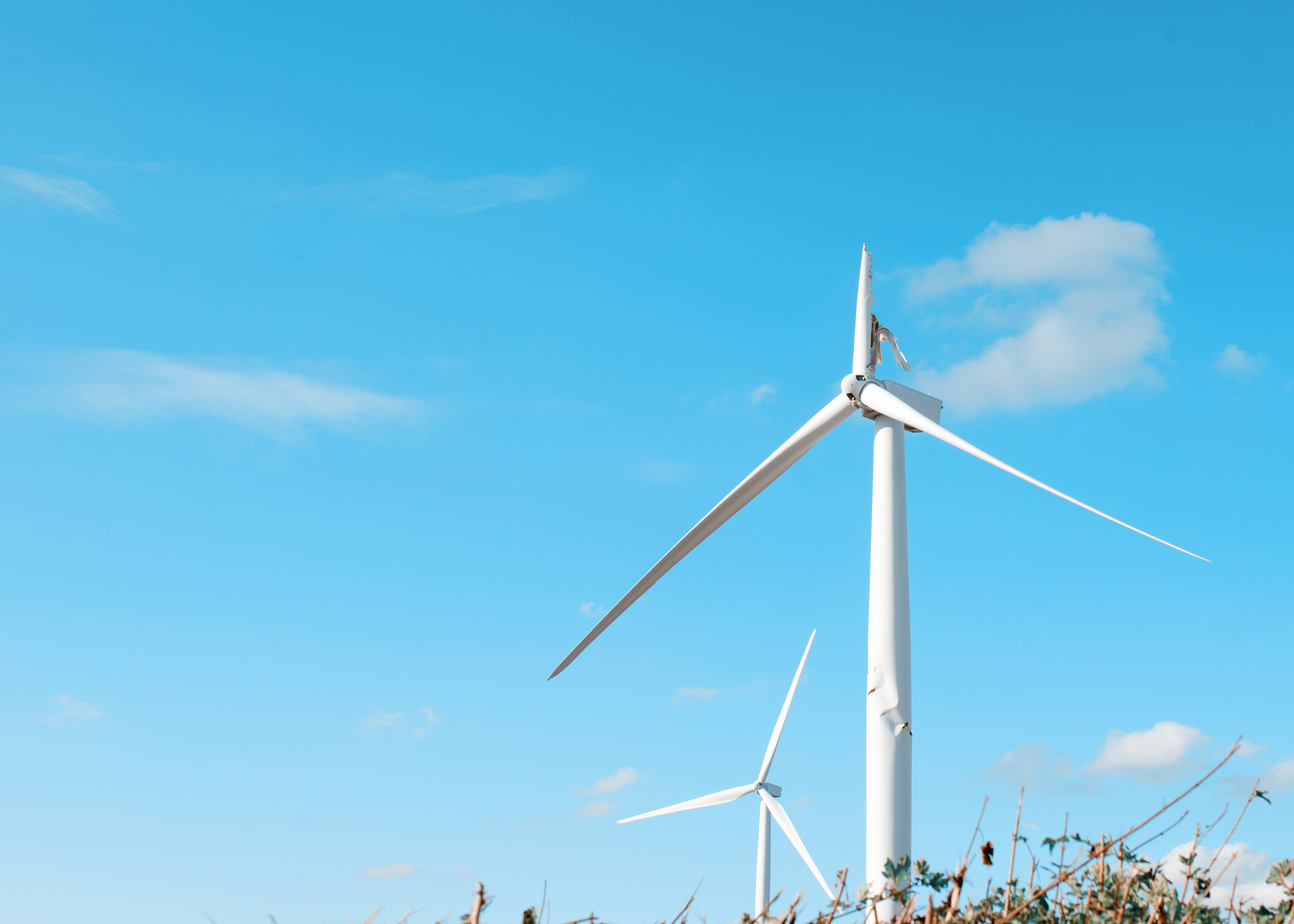 Cut wind farm costs by millions 